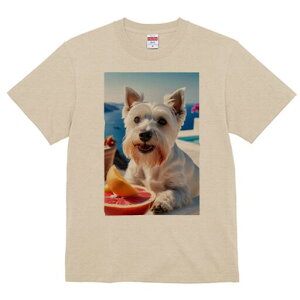 EGXgnChzCgeA TVc  j[NfUCfB[X t@  t vg lJWA 킢 lԗp Mtg I ҏ΍ C EGXgnCh