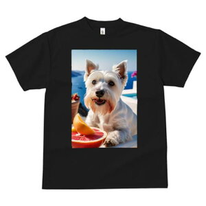 EGXgnChzCgeA TVc  j[NfUCfB[X t@  t vg lJWA 킢 lԗp Mtg I ҏ΍ C EGXgnCh