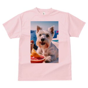 EGXgnChzCgeA TVc  j[NfUCY LbY t@  t vg lJWA 킢 lԗp Mtg I ҏ΍ C EGXgnC