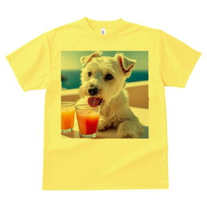 ~j`AViEU[ TVc  j[NfUCfB[X t@  t vg lJWA 킢 lԗp Mtg I ҏ΍ W[X ~j`AViEU[