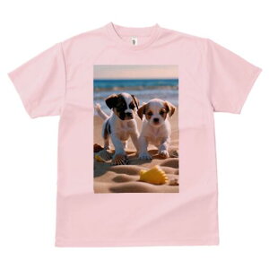 WbNbZeA,ps TVc  j[NfUCfB[X t@  t vg lJWA 킢 lԗp Mtg I ҏ΍ r[` WbNbZ