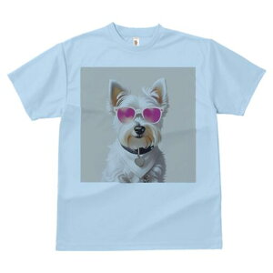 EGXgnChzCgeA TVc  j[NfUCfB[X t@  t vg lJWA 킢 lԗp Mtg I ҏ΍ TOX EGXgn