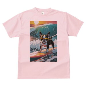 {XgeA TVc  j[NfUCfB[X t@  t vg lJWA 킢 lԗp Mtg I ҏ΍ g {XgeA T[tB C z