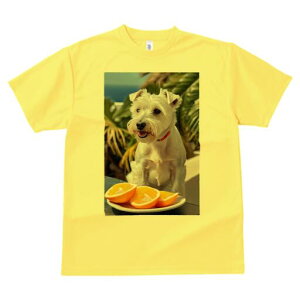 EGXgnChzCgeA TVc  j[NfUCfB[X t@  t vg lJWA 킢 lԗp Mtg I ҏ΍ IW EGXgnC