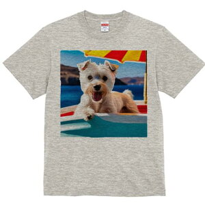 EGXgnChzCgeA TVc  j[NfUCfB[X t@  t vg lJWA 킢 lԗp Mtg I ҏ΍ C EGXgnCh