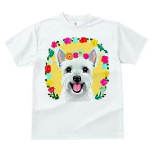 EGXgnChzCgeA TVc  j[NfUCfB[X t@  t vg lJWA 킢 lԗp Mtg I ҏ΍  EGXgnCh