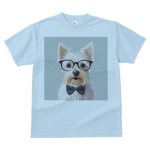 EGXgnChzCgeA TVc  j[NfUCY LbY t@  t vg lJWA 킢 lԗp Mtg I ҏ΍ Kl EGXgn