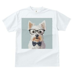 EGXgnChzCgeA TVc  j[NfUCY LbY t@  t vg lJWA 킢 lԗp Mtg I ҏ΍ Kl EGXgn