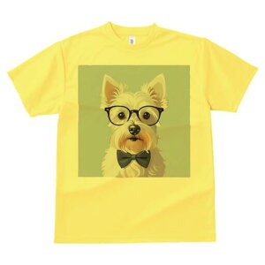 EGXgnChzCgeA TVc  j[NfUCfB[X t@  t vg lJWA 킢 lԗp Mtg I ҏ΍ Kl EGXgnC