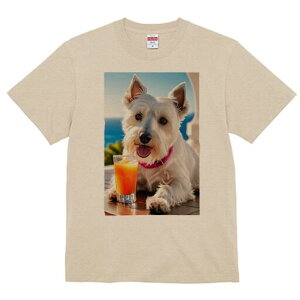 EGXgnChzCgeA TVc  j[NfUCfB[X t@  t vg lJWA 킢 lԗp Mtg I ҏ΍ W[X EGXgnC