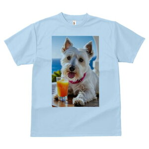 EGXgnChzCgeA TVc  j[NfUCfB[X t@  t vg lJWA 킢 lԗp Mtg I ҏ΍ W[X EGXgnC