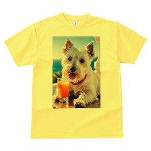 EGXgnChzCgeA TVc  j[NfUCfB[X t@  t vg lJWA 킢 lԗp Mtg I ҏ΍ W[X EGXgnC