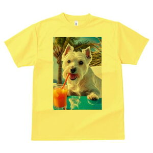 EGXgnChzCgeA TVc  j[NfUCfB[X t@  t vg lJWA 킢 lԗp Mtg I ҏ΍ W[X EGXgnC