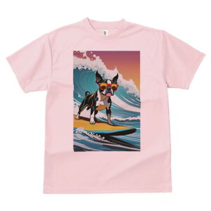 {XgeA TVc  j[NfUCfB[X t@  t vg lJWA 킢 lԗp Mtg I ҏ΍ g {XgeA T[tB TOX 