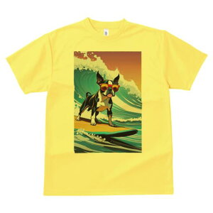 {XgeA TVc  j[NfUCfB[X t@  t vg lJWA 킢 lԗp Mtg I ҏ΍ g {XgeA T[tB TOX 