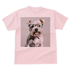 ~j`AViEU[ TVc  j[NfUCfB[X t@  t vg lJWA 킢 lԗp Mtg I ҏ΍ Kl ~j`AViEU[ 