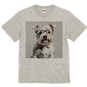 ~j`AViEU[ TVc  j[NfUCfB[X t@  t vg lJWA 킢 lԗp Mtg I ҏ΍ Kl ~j`AViEU[ 