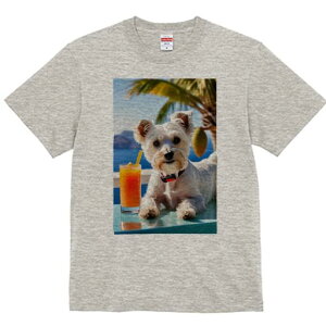 EGXgnChzCgeA TVc  j[NfUCfB[X t@  t vg lJWA 킢 lԗp Mtg I ҏ΍ W[X EGXgnC