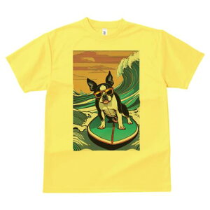 {XgeA TVc  j[NfUCfB[X t@  t vg lJWA 킢 lԗp Mtg I ҏ΍ g {XgeA T[tB TOX 