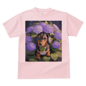 _bNXth TVc  j[NfUCY LbY t@  t vg lJWA 킢 lԗp Mtg I ҏ΍ AWTC _bNXth  