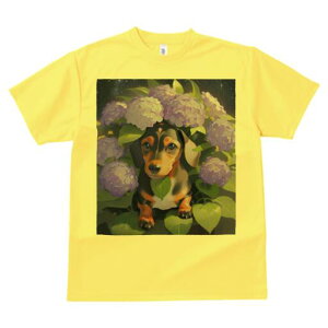 _bNXth TVc  j[NfUCfB[X t@  t vg lJWA 킢 lԗp Mtg I ҏ΍ AWTC _bNXth  