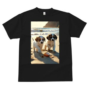 WbNbZeA TVc  j[NfUCfB[X t@  t vg lJWA 킢 lԗp Mtg I ҏ΍ r[` WbNbZeA 