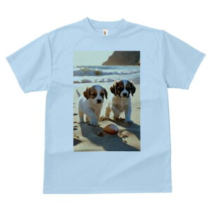 WbNbZeA TVc  j[NfUCfB[X t@  t vg lJWA 킢 lԗp Mtg I ҏ΍ r[` WbNbZeA 