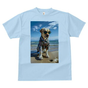 uh[go[ TVc  j[NfUCfB[X t@  t vg lJWA 킢 lԗp Mtg I ҏ΍ AnVc uh[g