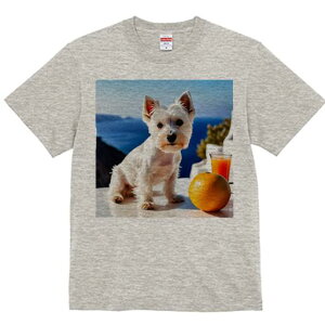 EGXgnChzCgeA TVc  j[NfUCfB[X t@  t vg lJWA 킢 lԗp Mtg I ҏ΍ IW EGXgnC