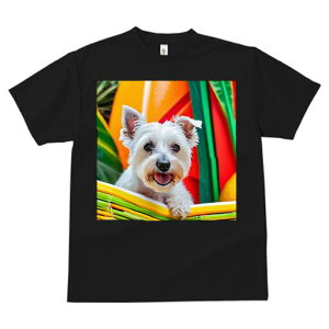 EGXgnChzCgeA TVc  j[NfUCfB[X t@  t vg lJWA 킢 lԗp Mtg I ҏ΍ wi EGXgnC