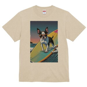 {XgeA TVc  j[NfUCfB[X t@  t vg lJWA 킢 lԗp Mtg I ҏ΍ T[tB {XgeA C g TO