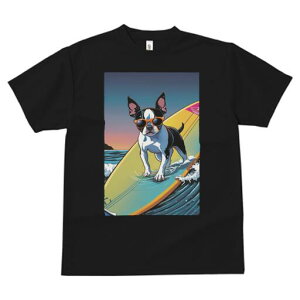 {XgeA TVc  j[NfUCfB[X t@  t vg lJWA 킢 lԗp Mtg I ҏ΍ T[tB {XgeA C g TO