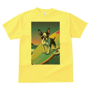 {XgeA TVc  j[NfUCfB[X t@  t vg lJWA 킢 lԗp Mtg I ҏ΍ T[tB {XgeA C g TO