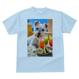 �E�G�X�g�n�C�����h�z���C�g�e���A T�V���c ���� ���j�[�N�f�U�C�����f�B�[�X ���t�@�� ���� �t�� �v�����g ��l�J�W���A�� ���킢�� �l�ԗp �M�t�g ���I �ҏ��΍� ���ݕ� �E�G�X�g�n�C��