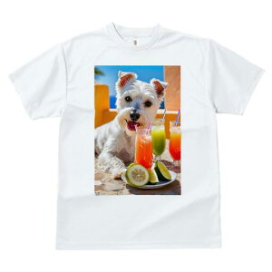 EGXgnChzCgeA TVc  j[NfUCfB[X t@  t vg lJWA 킢 lԗp Mtg I ҏ΍ ݕ EGXgnC