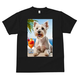 EGXgnChzCgeA TVc  j[NfUCfB[X t@  t vg lJWA 킢 lԗp Mtg I ҏ΍ JNe EGXgnC