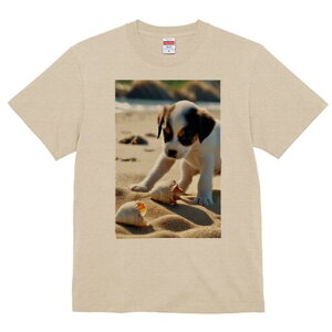 �W���b�N���b�Z���e���A T�V���c ���� ���j�[�N�f�U�C�����f�B�[�X ���t�@�� ���� �t�� �v�����g ��l�J�W���A�� ���킢�� �l�ԗp �M�t�g ���I �ҏ��΍� �r�[�` �W���b�N���b�Z���e���A 