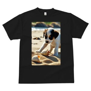 WbNbZeA TVc  j[NfUCfB[X t@  t vg lJWA 킢 lԗp Mtg I ҏ΍ r[` WbNbZeA 