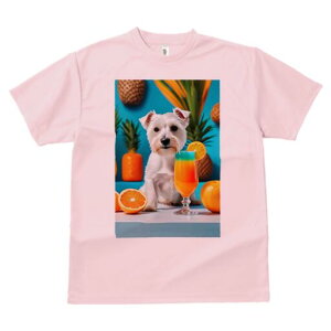 EGXgnChzCgeA TVc  j[NfUCfB[X t@  t vg lJWA 킢 lԗp Mtg I ҏ΍ pCibv EGXg