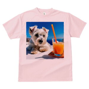 �E�G�X�g�n�C�����h�z���C�g�e���A T�V���c ���� ���j�[�N�f�U�C�����f�B�[�X ���t�@�� ���� �t�� �v�����g ��l�J�W���A�� ���킢�� �l�ԗp �M�t�g ���I �ҏ��΍� �W���[�X �E�G�X�g�n�C