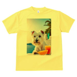 EGXgnChzCgeA TVc  j[NfUCY LbY t@  t vg lJWA 킢 lԗp Mtg I ҏ΍ W[X EGXg