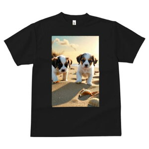 WbNbZeA TVc  j[NfUCfB[X t@  t vg lJWA 킢 lԗp Mtg I ҏ΍ r[` WbNbZeA 