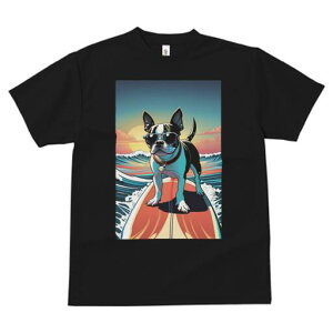 {XgeA TVc  j[NfUCfB[X t@  t vg lJWA 킢 lԗp Mtg I ҏ΍ TOX {XgeA T[tB C 