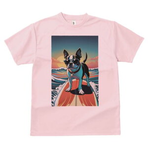 {XgeA TVc  j[NfUCfB[X t@  t vg lJWA 킢 lԗp Mtg I ҏ΍ TOX {XgeA T[tB C 