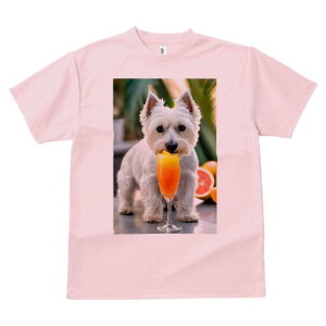 EGXgnChzCgeA TVc  j[NfUCfB[X t@  t vg lJWA 킢 lԗp Mtg I ҏ΍ JNe EGXgnC