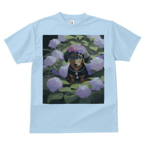 _bNXth TVc  j[NfUCY LbY t@  t vg lJWA 킢 lԗp Mtg I ҏ΍  _bNXth lbNX