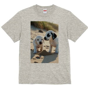 _VA,uh[go[ TVc  j[NfUCfB[X t@  t vg lJWA 킢 lԗp Mtg I ҏ΍ l _VA,