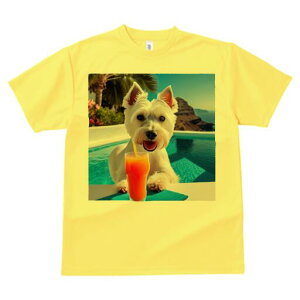 EGXgnChzCgeA TVc  j[NfUCfB[X t@  t vg lJWA 킢 lԗp Mtg I ҏ΍ v[ EGXgnC