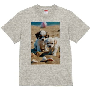 LoA,}`[Y TVc  j[NfUCfB[X t@  t vg lJWA 킢 lԗp Mtg I ҏ΍ r[` LoA,}`[Y C 