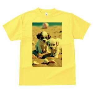 LoA,}`[Y TVc  j[NfUCfB[X t@  t vg lJWA 킢 lԗp Mtg I ҏ΍ r[` LoA,}`[Y C 